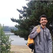 Senior Developer con esperienza pluriennale impartisce lezioni di informatica, programmazione, programmazione per il web